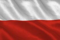 polen-wavebreak_media-thinkstock-web.jpg polen-wavebreak_media-thinkstock-web.jpg
